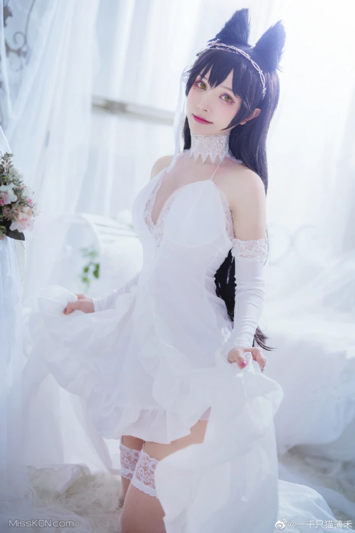 Coser@一千只猫薄禾: 微博杂图 (360 ảnh)