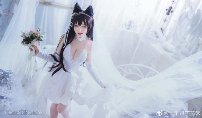 Coser@一千只猫薄禾: 微博杂图 (360 ảnh)