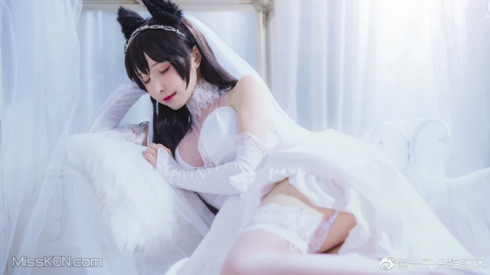 Coser@一千只猫薄禾: 微博杂图 (360 ảnh)