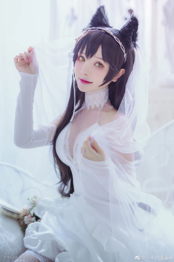 Coser@一千只猫薄禾: 微博杂图 (360 ảnh)