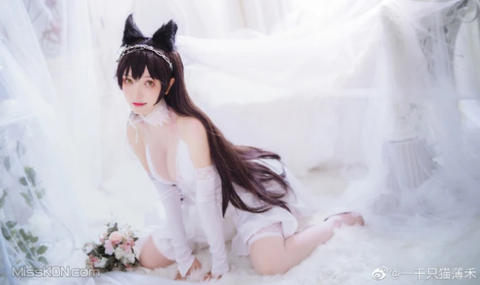 Coser@一千只猫薄禾: 微博杂图 (360 ảnh)