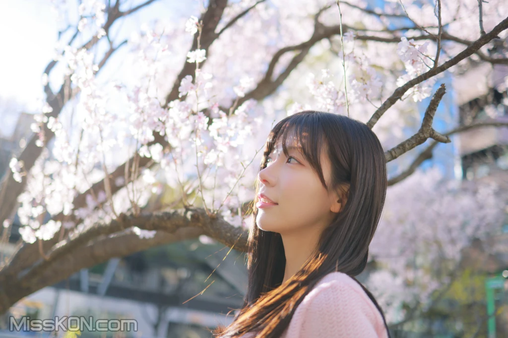[Patreon] 쏘블리 (@leeesovely): Sakura (260 photos)  photo 1-15